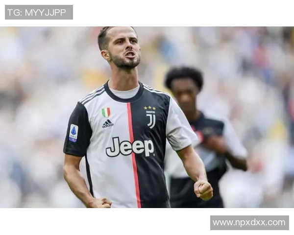 足球明星激情怒吼瞬间视频素材集锦展现球场热血与斗志